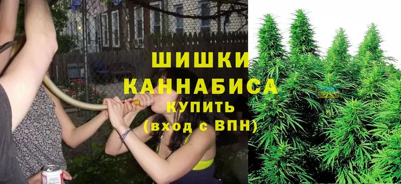 kraken маркетплейс  Нестеров  Каннабис Ganja 